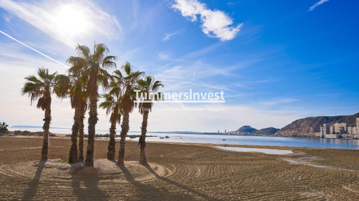 Obra nueva · Villa · Els Poblets · Partida Barranquets