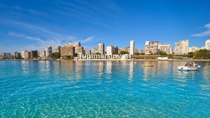 Obra nueva · Villa · Els Poblets · Partida Barranquets