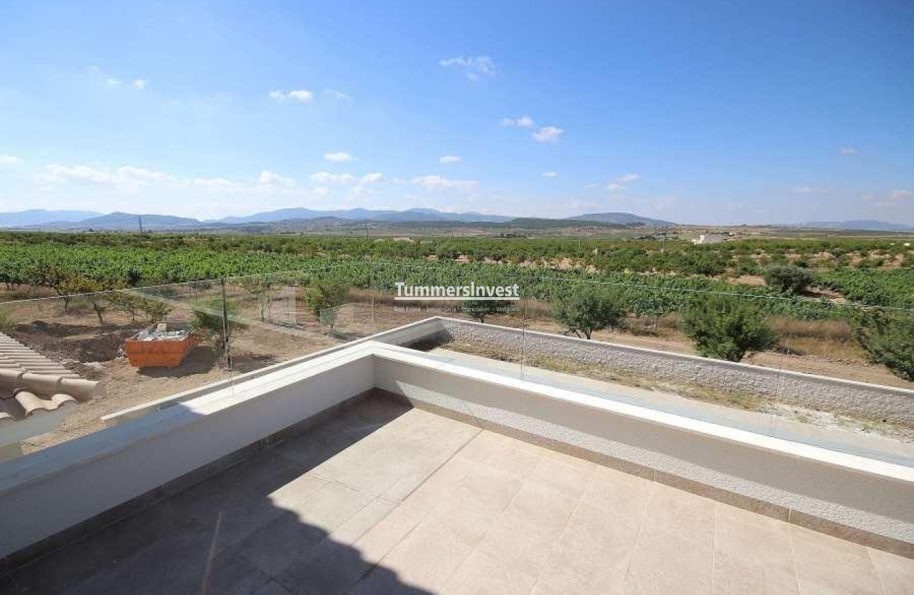 Neue Gebäude · Villa · Pinoso · Camino Del Prado