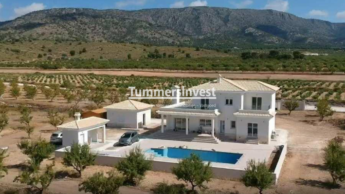 Neue Gebäude · Villa · Pinoso · Camino Del Prado