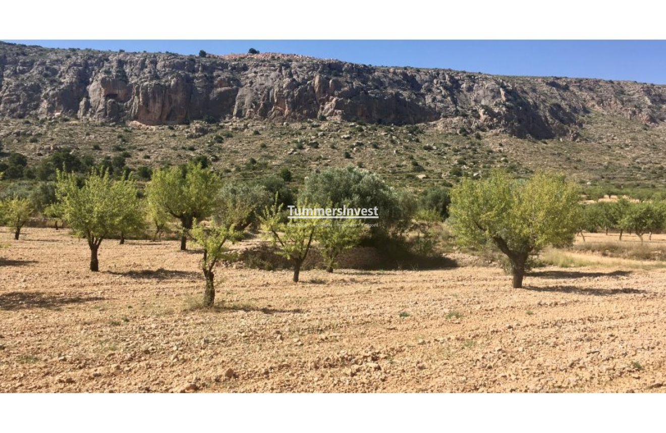 Herverkoop · Land · La Romana