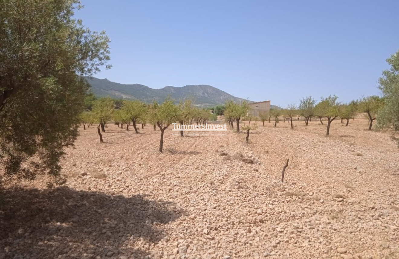 Herverkoop · Land · La Romana