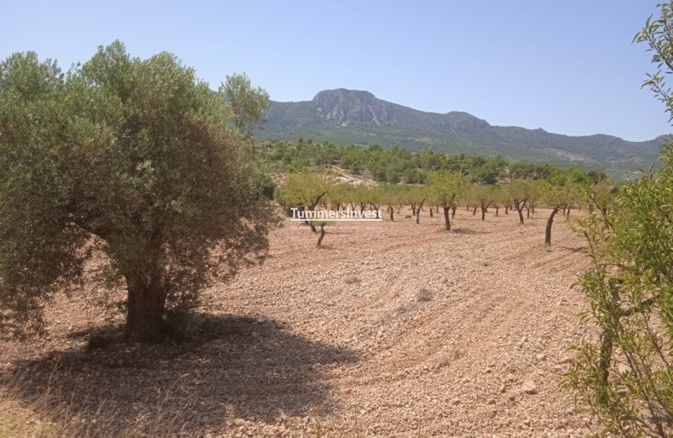 Herverkoop · Land · La Romana