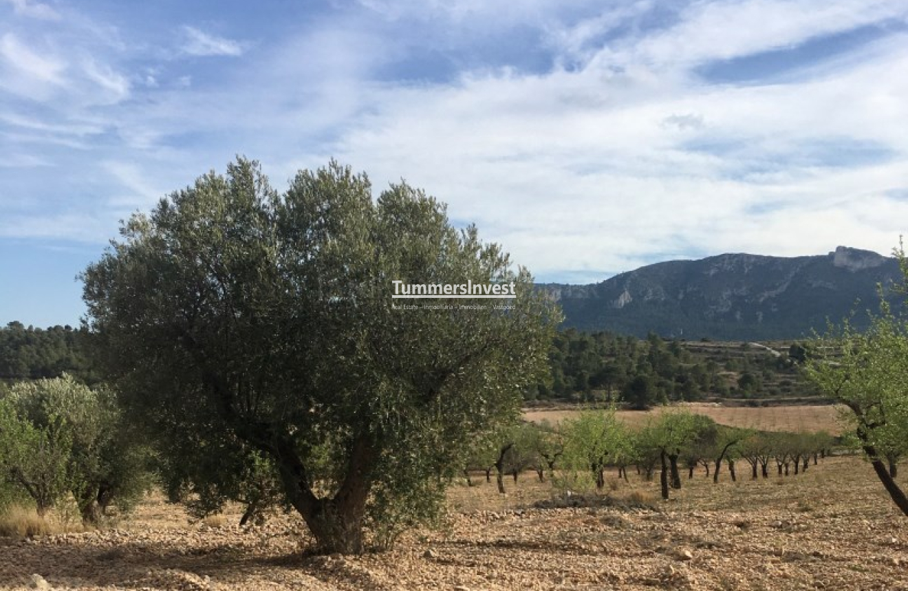 Herverkoop · Land · La Romana