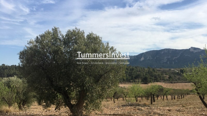 Herverkoop · Land · La Romana