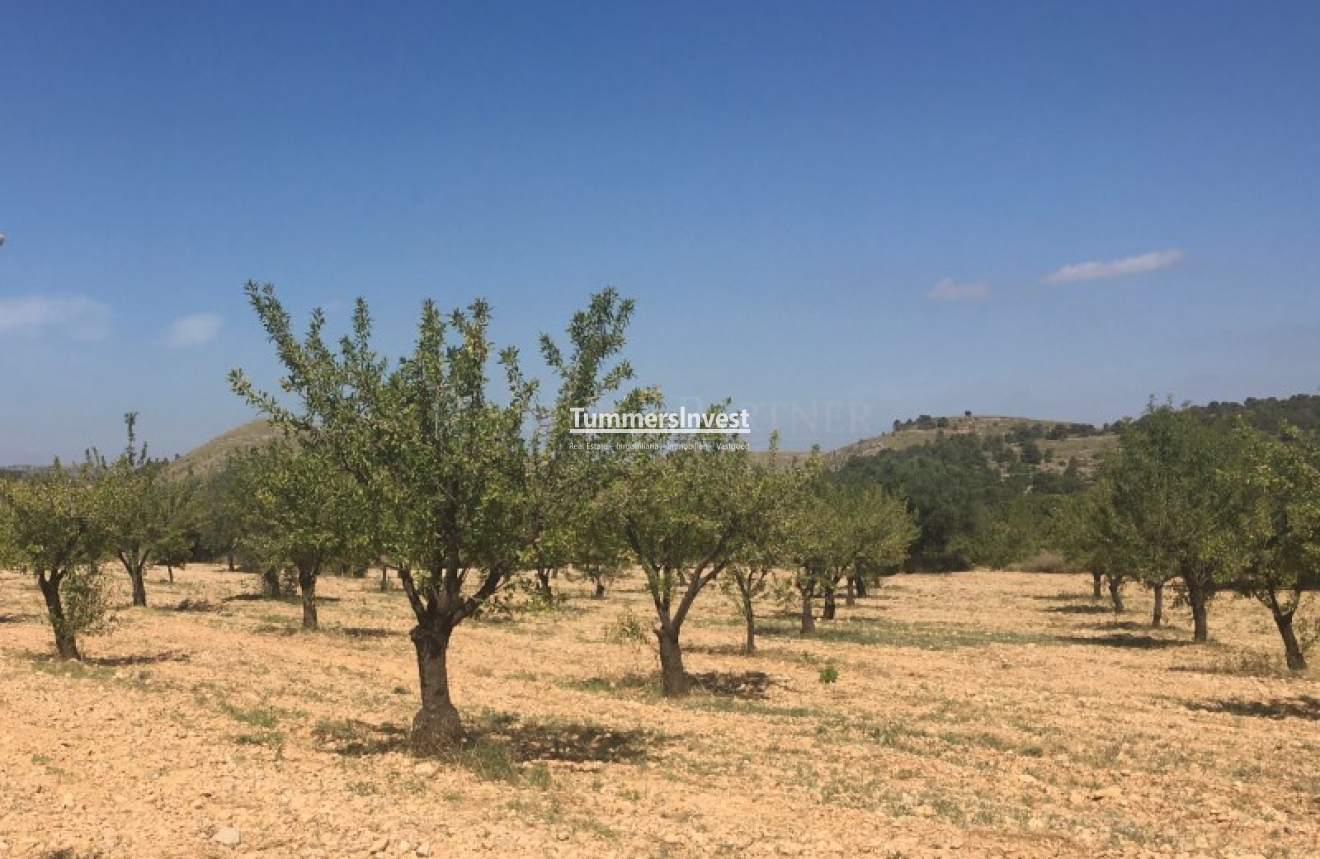 Herverkoop · Land · La Romana