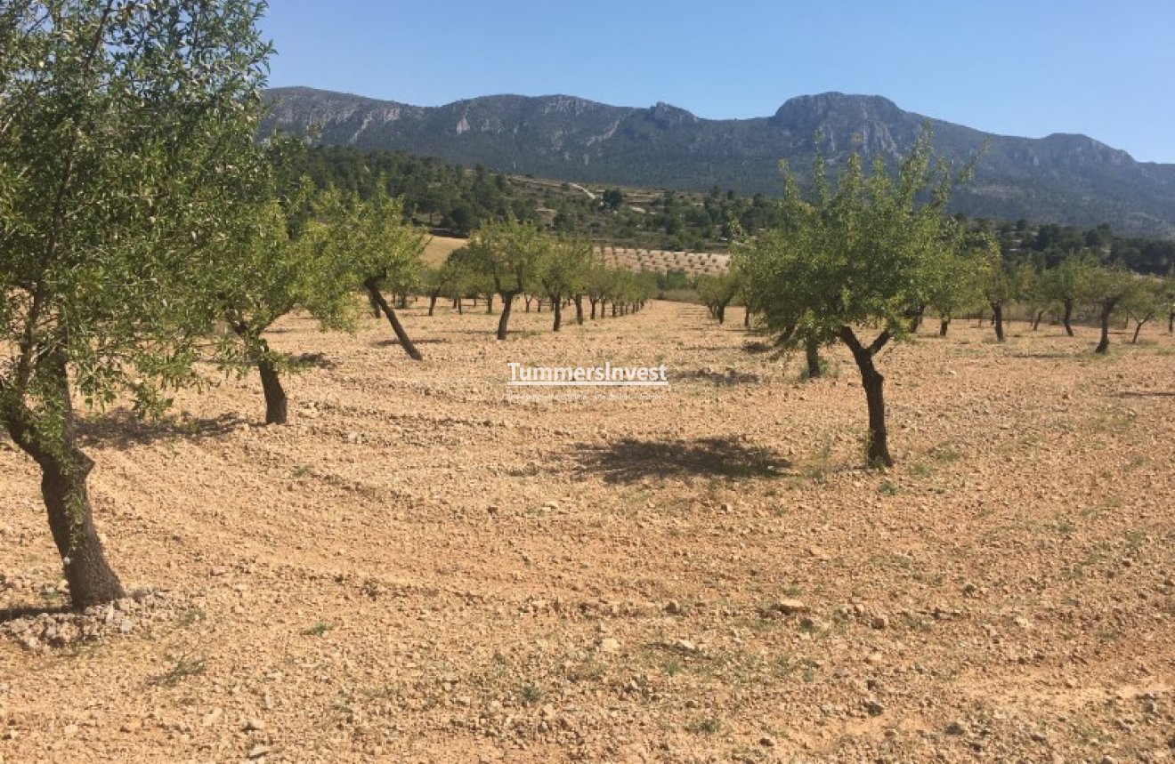 Herverkoop · Land · La Romana