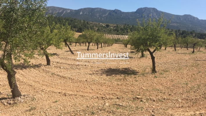 Herverkoop · Land · La Romana