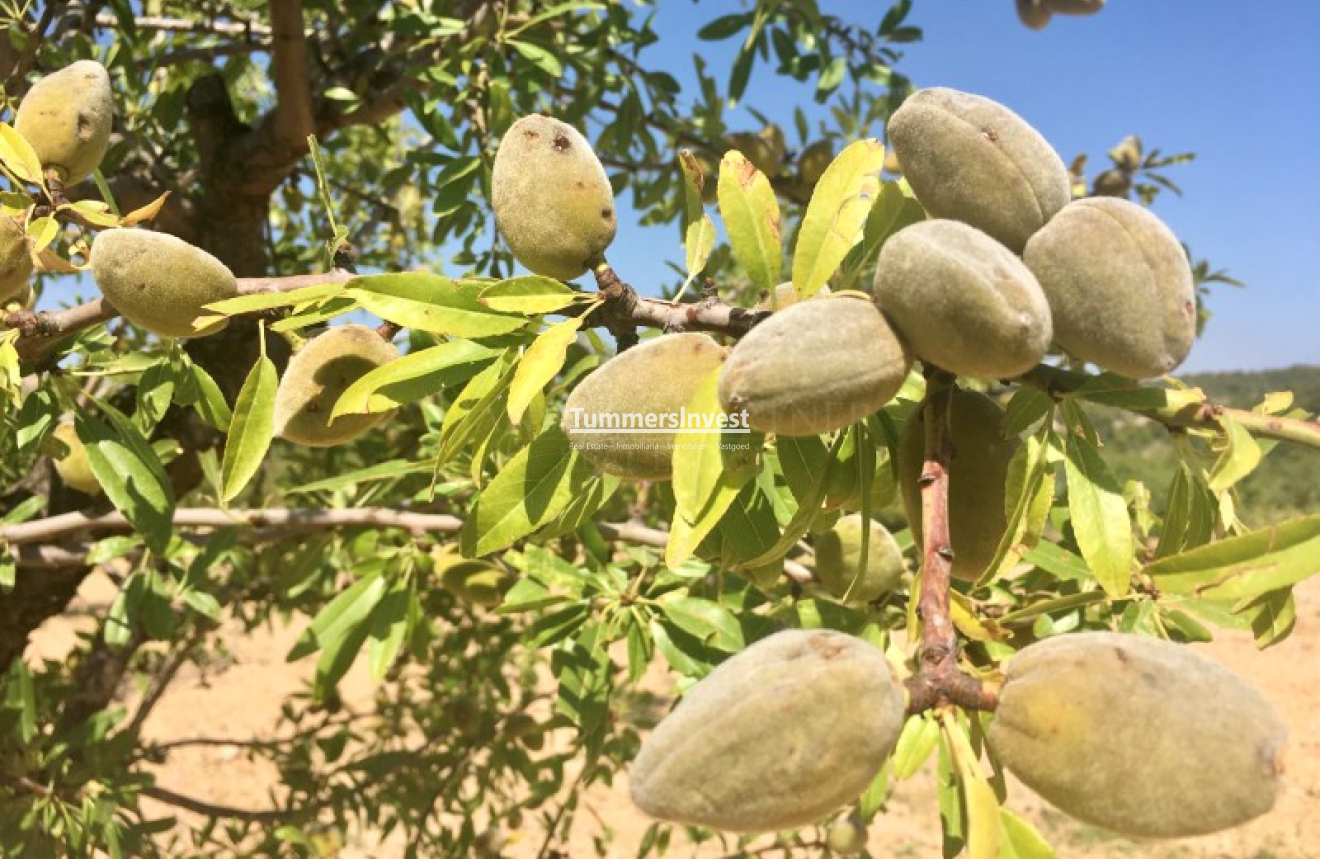 Herverkoop · Land · La Romana