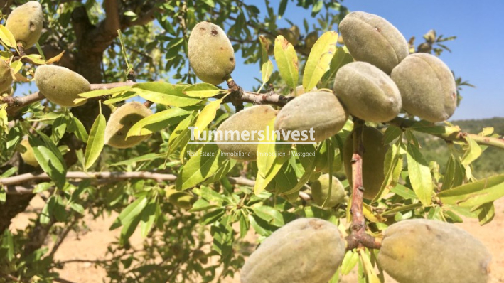 Herverkoop · Land · La Romana