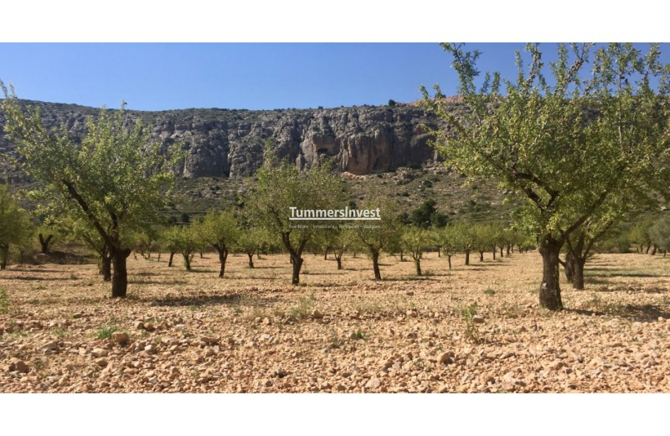 Herverkoop · Land · La Romana