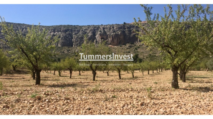 Herverkoop · Land · La Romana