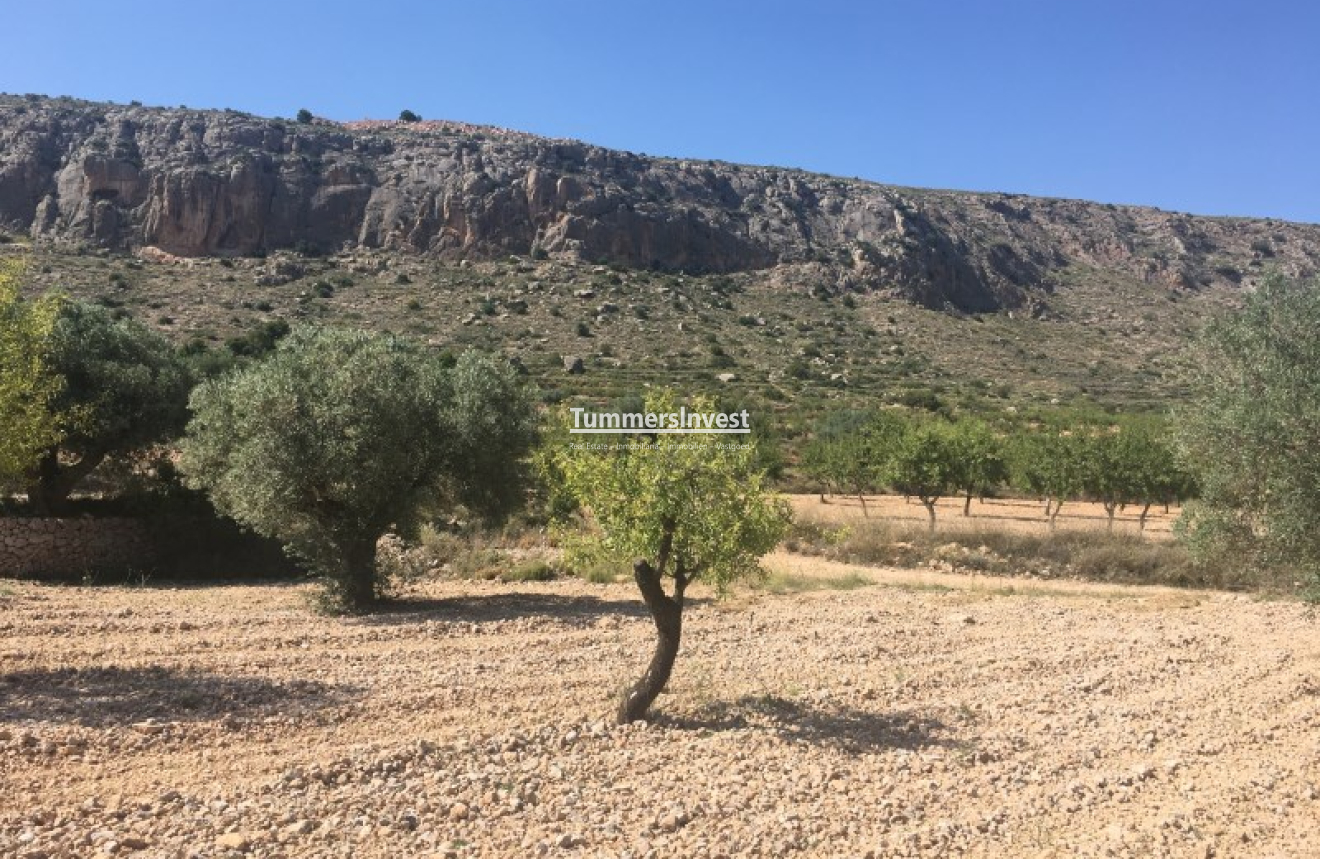 Herverkoop · Land · La Romana