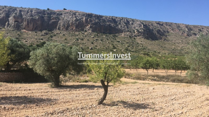 Herverkoop · Land · La Romana