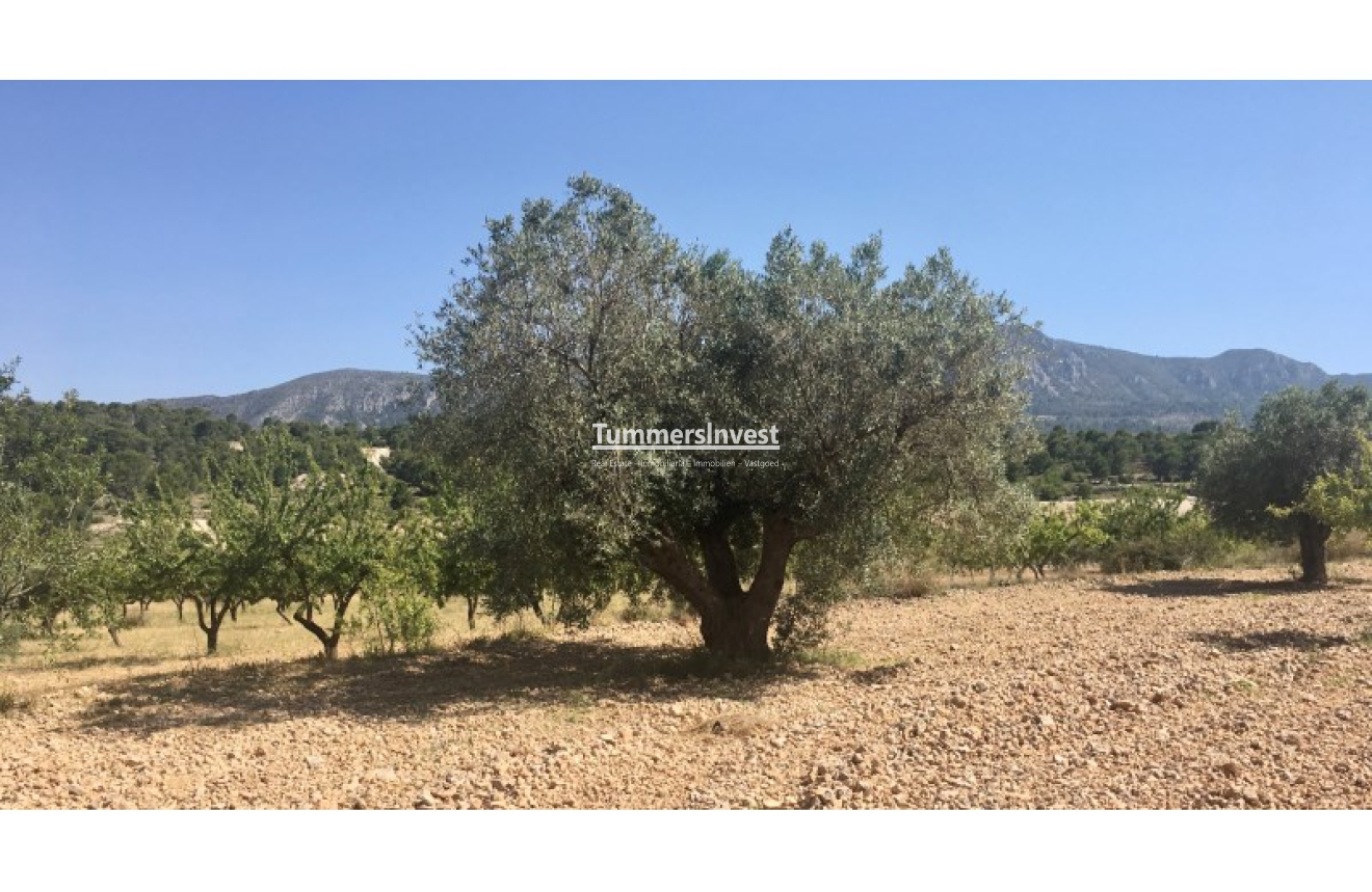 Herverkoop · Land · La Romana