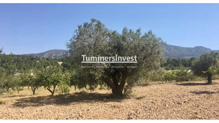 Herverkoop · Land · La Romana