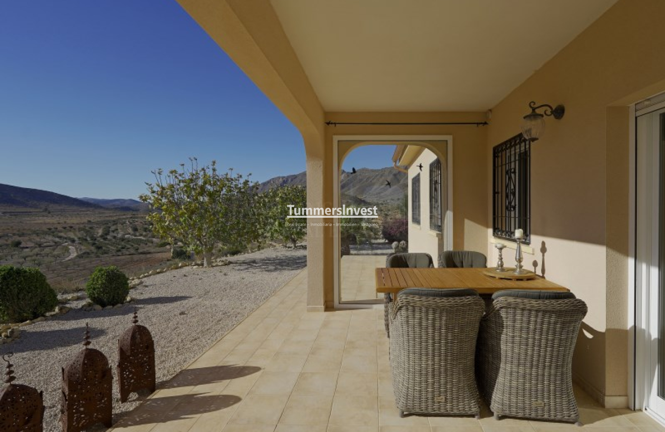 Reventa · Villa · Hondón de las Nieves / el Fondó de les Neus