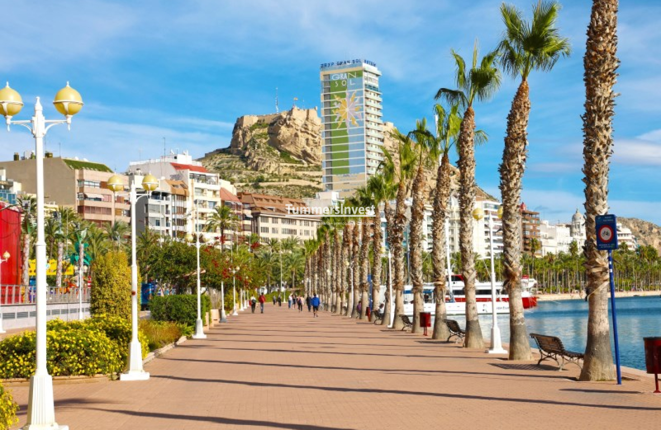 Lange Termijn Verhuur · Apartment · Alicante / Alacant · Centro
