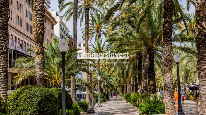Lange Termijn Verhuur · Apartment · Alicante / Alacant · Centro