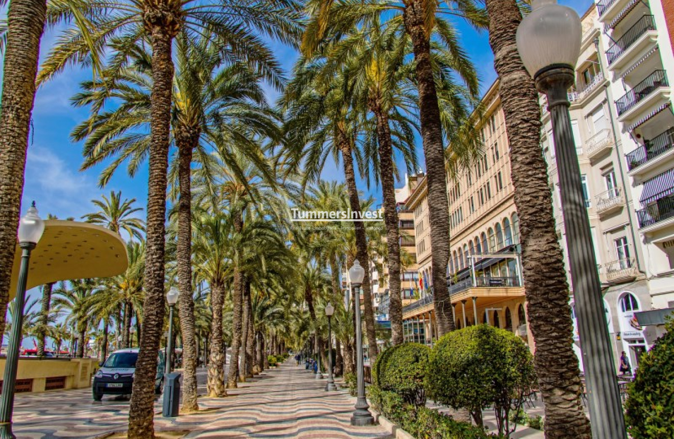 Lange Termijn Verhuur · Apartment · Alicante / Alacant · Centro