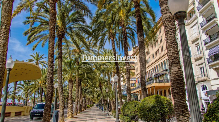 Lange Termijn Verhuur · Apartment · Alicante / Alacant · Centro