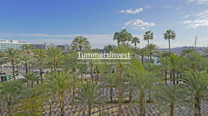 Lange Termijn Verhuur · Apartment · Alicante / Alacant · Centro