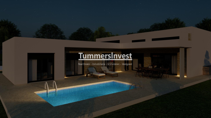 Neue Gebäude · Villa · Pinoso · Campo