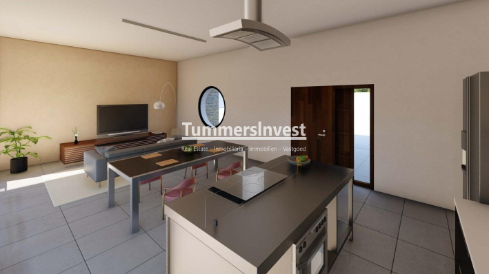Nieuwbouw Woningen · Villa · Pinoso · Campo