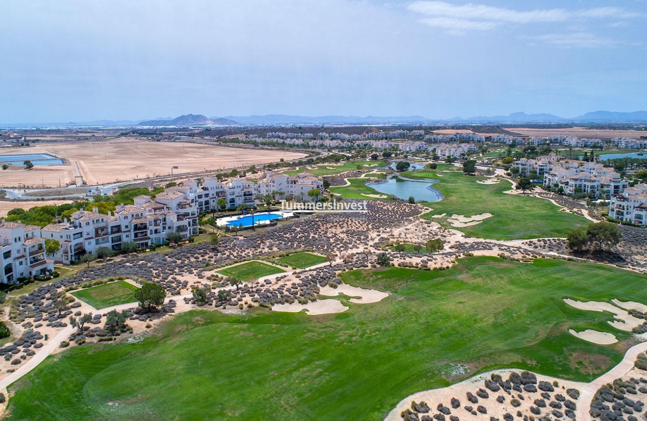 Obra nueva · Villa · Sucina