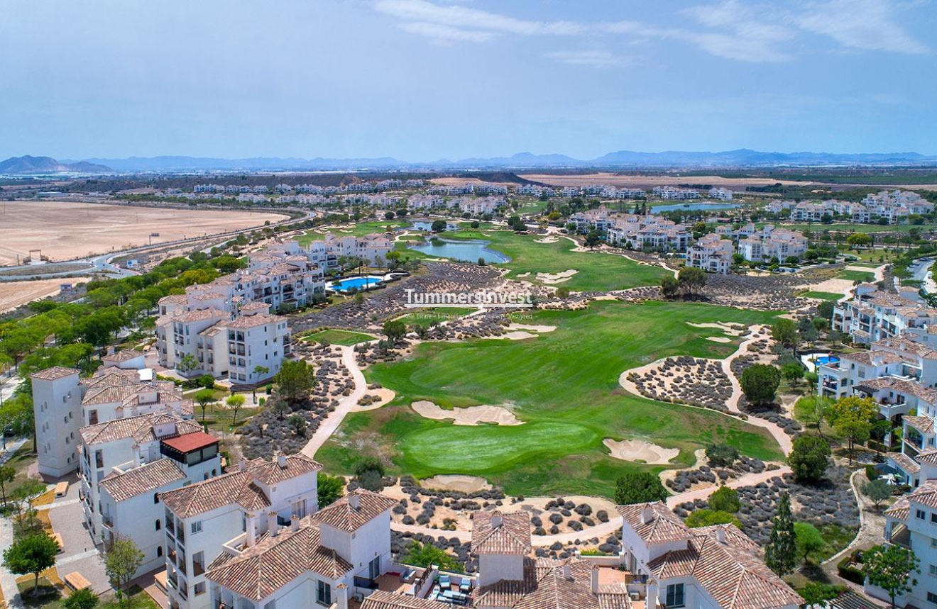 Obra nueva · Villa · Sucina