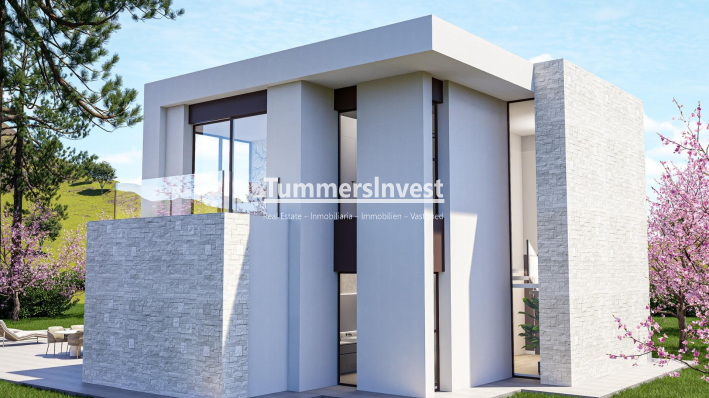 Nieuwbouw Woningen · Villa · Pinoso · Lel