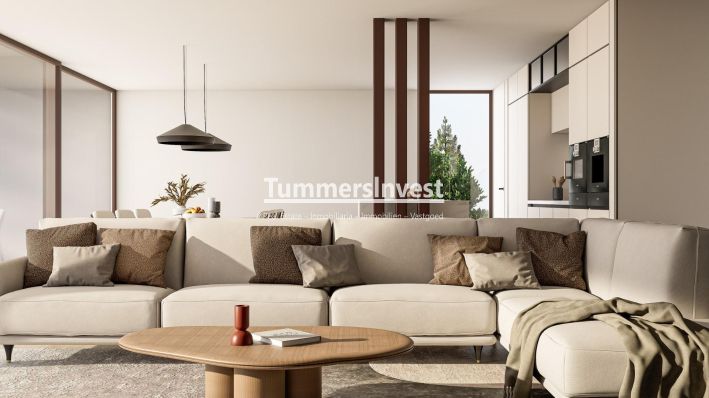 Nieuwbouw Woningen · Villa · Pinoso · Lel