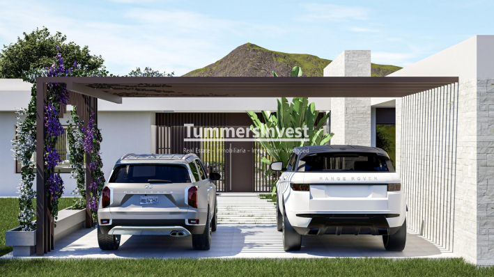 Nieuwbouw Woningen · Villa · Pinoso · Lel