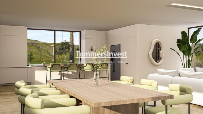 Nieuwbouw Woningen · Villa · Pinoso · Lel
