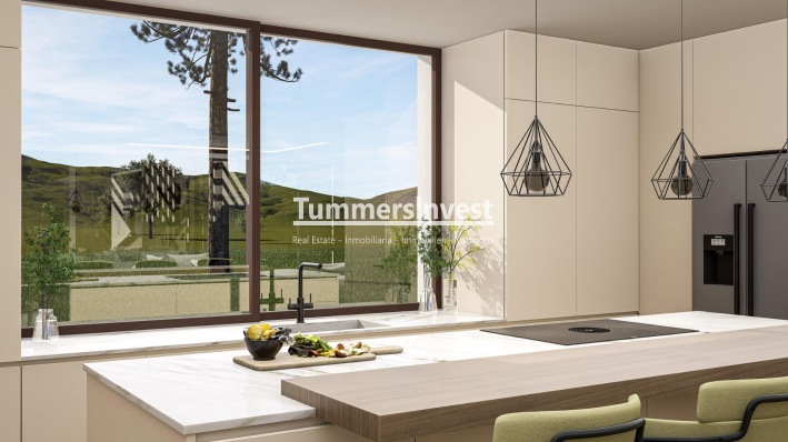 Nieuwbouw Woningen · Villa · Pinoso · Lel