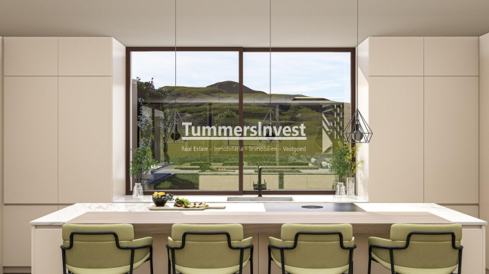 Nieuwbouw Woningen · Villa · Pinoso · Lel