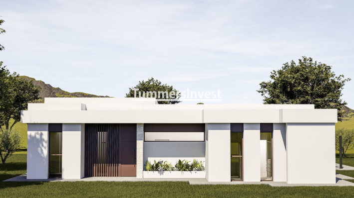 Neue Gebäude · Villa · Pinoso · Lel