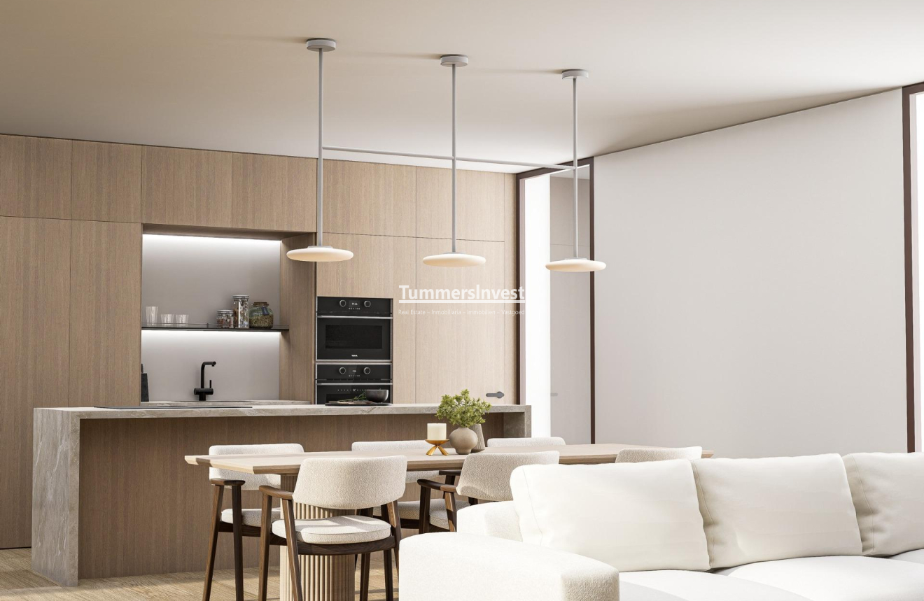 Neue Gebäude · Villa · Pinoso · Lel