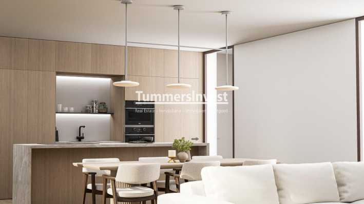 Neue Gebäude · Villa · Pinoso · Lel