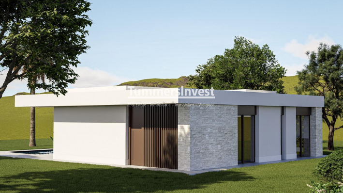 Neue Gebäude · Villa · Pinoso · Lel