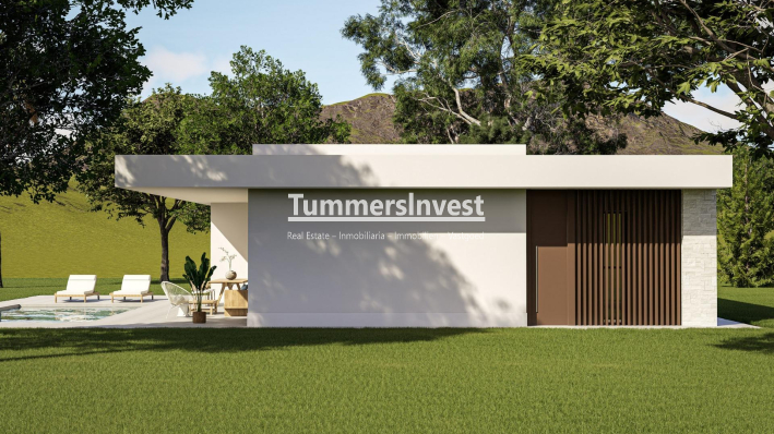 Neue Gebäude · Villa · Pinoso · Lel