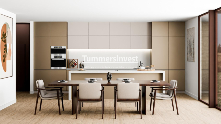 Neue Gebäude · Villa · Pinoso · Lel