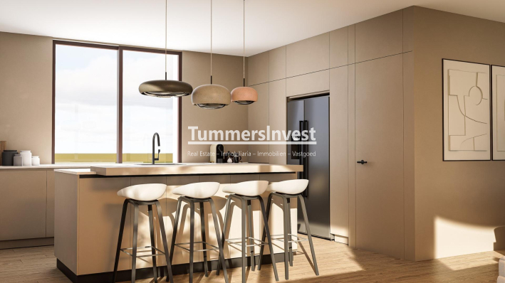 Neue Gebäude · Villa · Pinoso · Lel