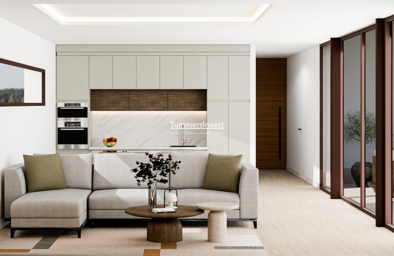 Nieuwbouw Woningen · Villa · Pinoso · Lel