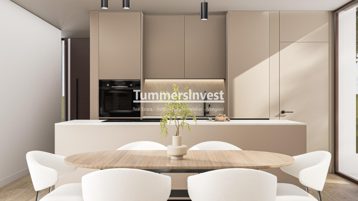 Neue Gebäude · Villa · Pinoso · Lel