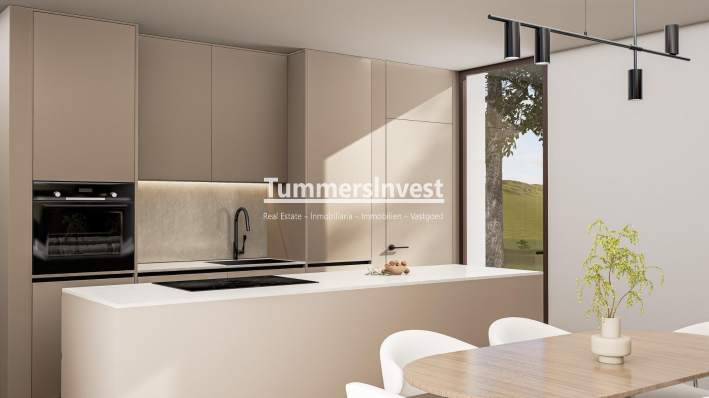 Neue Gebäude · Villa · Pinoso · Lel