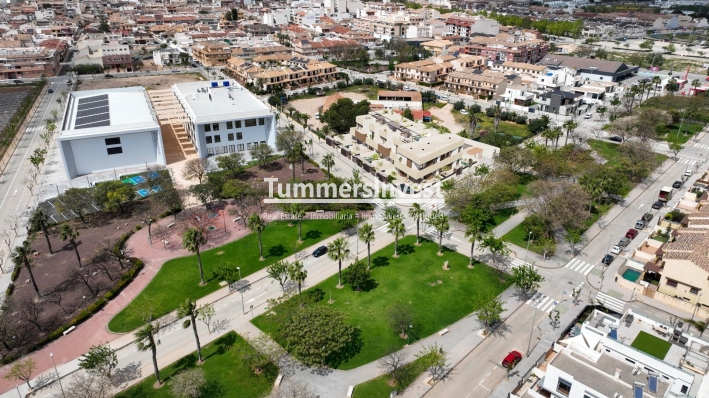 Nieuwbouw Woningen · Bungalow · Pilar de la Horadada · parques de Andromeda