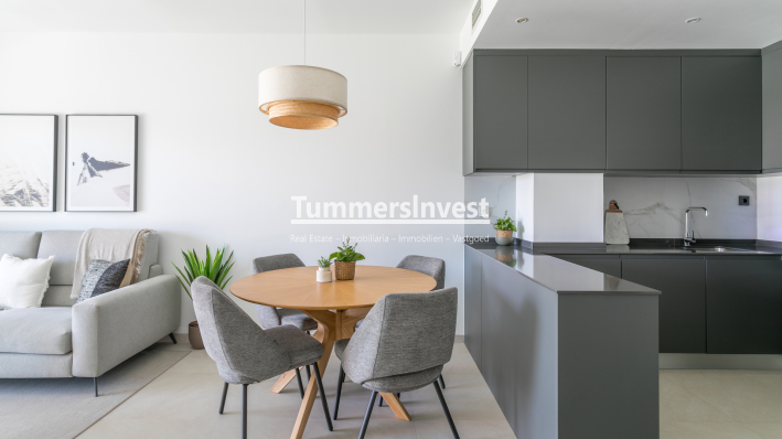 Obra nueva · Ático · Torrevieja