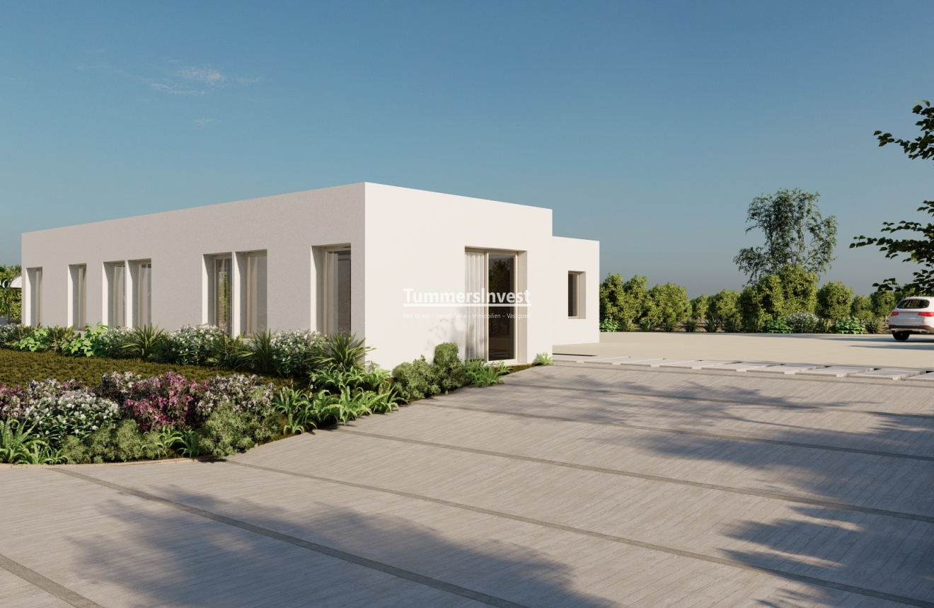 New Build · detached · La Finca Golf