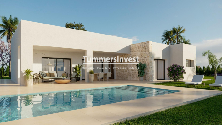 New Build · detached · Aspe